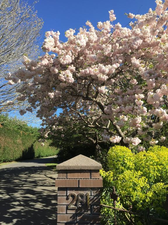 Готель Rhododendron Garden Крайстчерч Екстер'єр фото