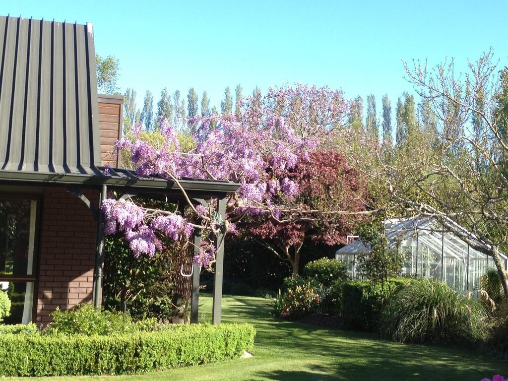 Готель Rhododendron Garden Крайстчерч Номер фото